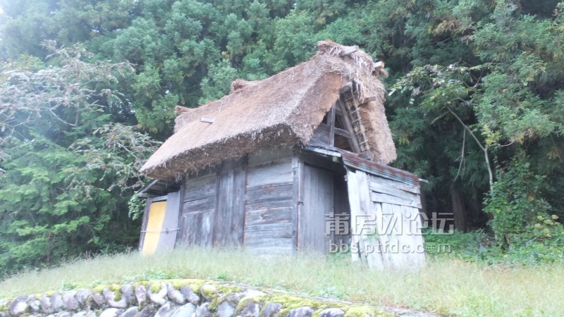 =不忘阶级苦,牢记破茅屋 _ 谈婚论嫁_莆仙网_莆田论坛_莆田0594