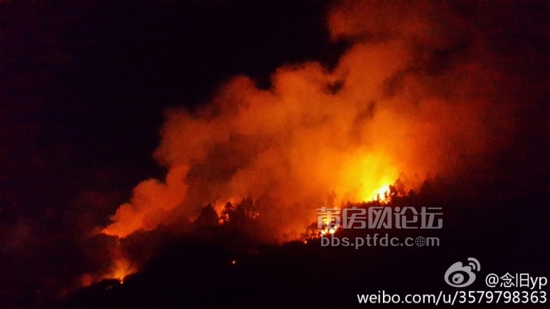 枫亭塔斗山森林大火,台风天助纣为虐,秒变火焰山!