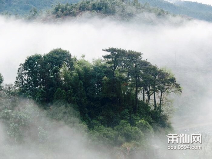 新县镇仙安村2017福建省美丽乡村