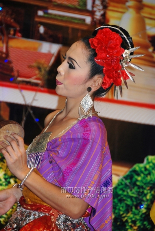 DSC_0254.JPG