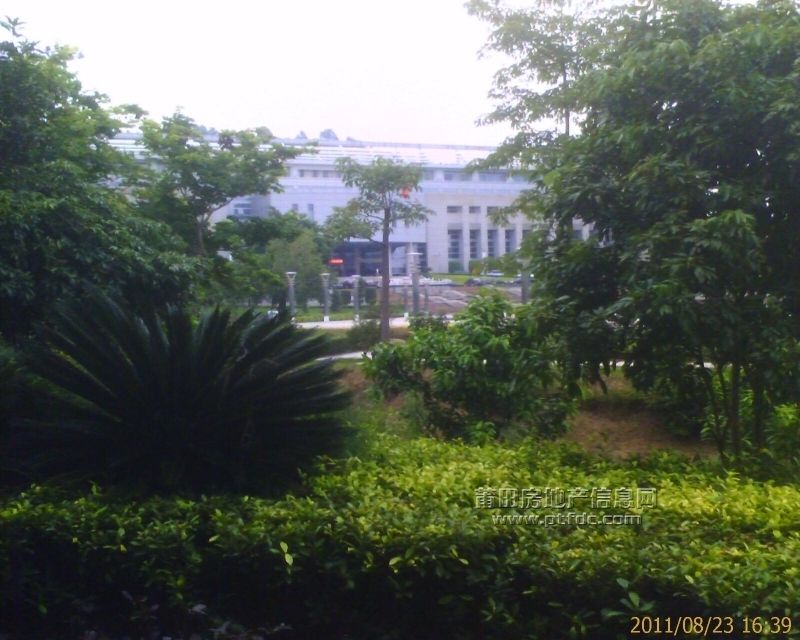 IMAGE_00506.jpg