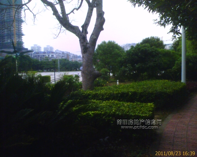 IMAGE_00507.jpg