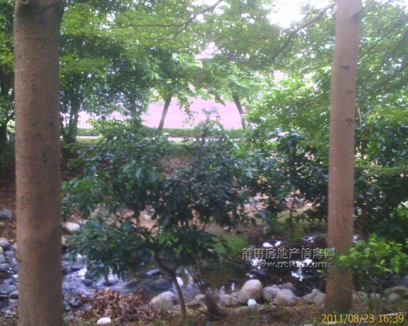 IMAGE_00510.jpg