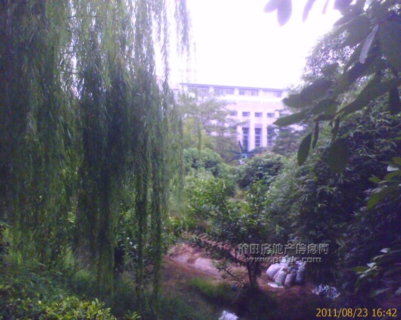 IMAGE_00512.jpg