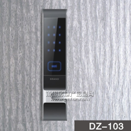 DZ-103.jpg