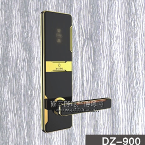 DZ-900.jpg