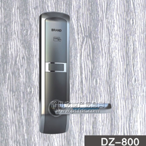 DZ-800.jpg