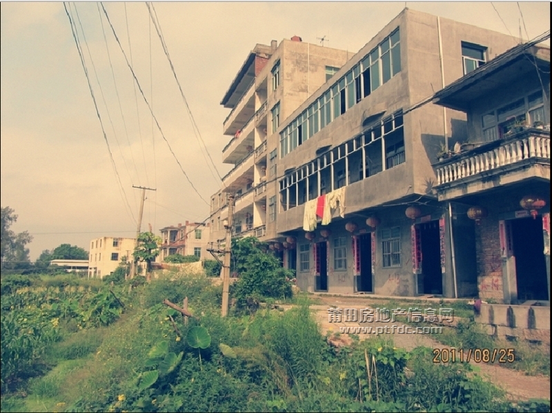 白埕片区最后印象10.jpg