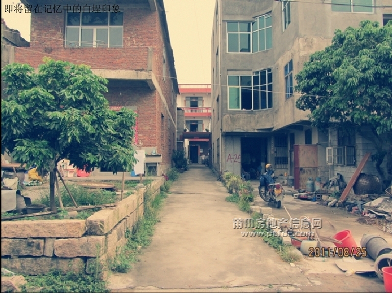 白埕片区最后印象13.jpg