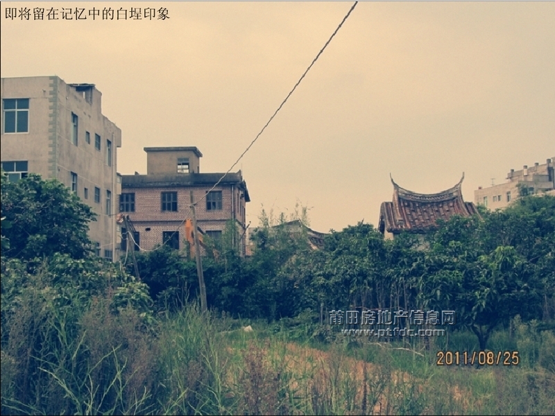 白埕片区最后印象14.jpg