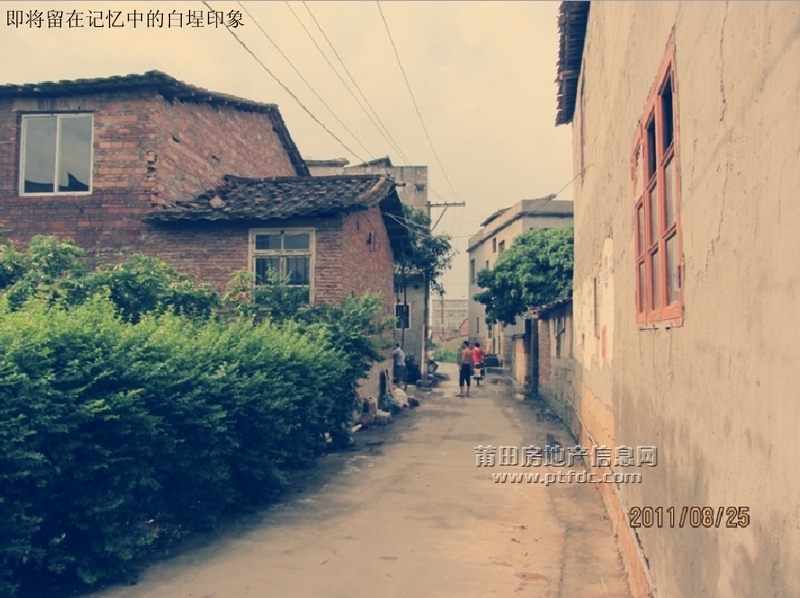 白埕片区最后印象20.jpg