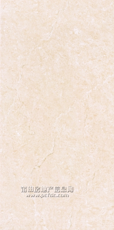 G1031.jpg