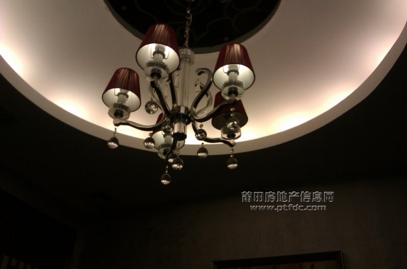IMAG0397.jpg