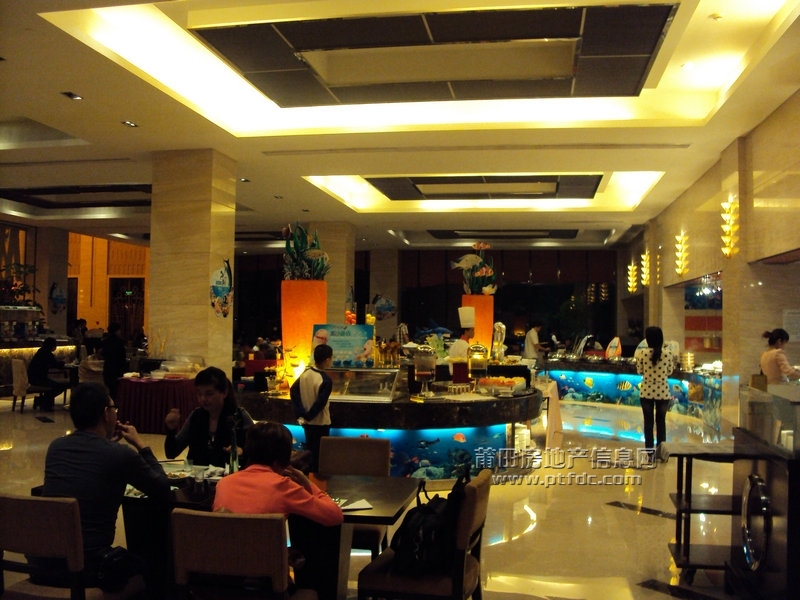 DSC08347.JPG