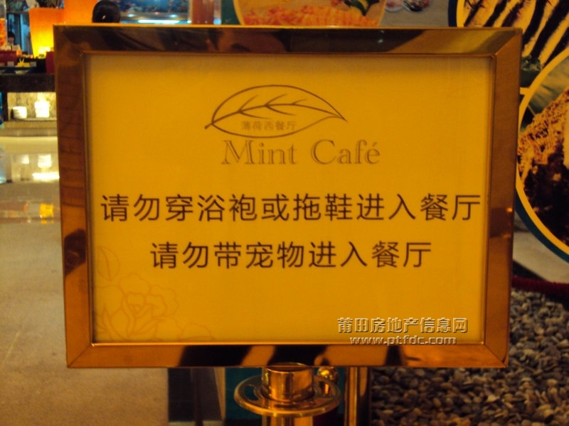 DSC08367.JPG