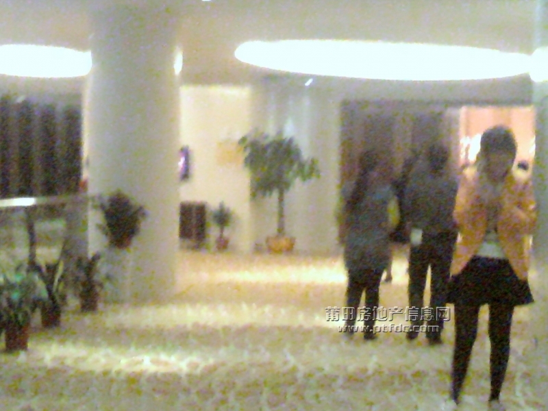 2011-11-11 18.17.38.jpg