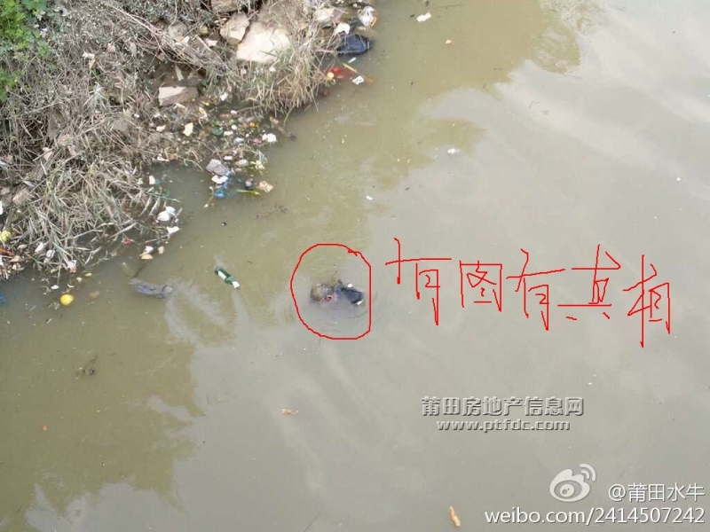 zzj_副本.jpg