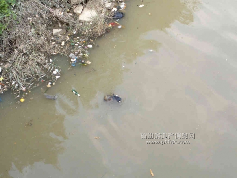 201111203989.jpg