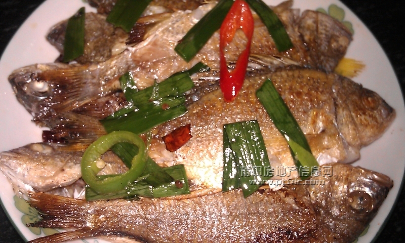 IMAG0111.jpg