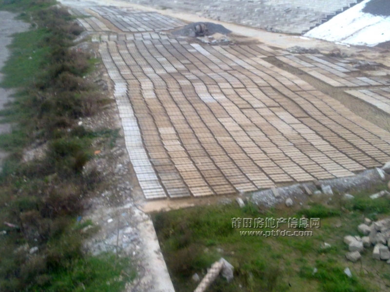 201111211065.jpg