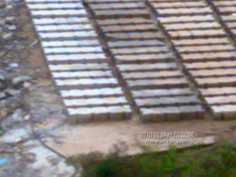 201111211066.jpg