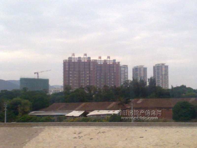 201111211074.jpg