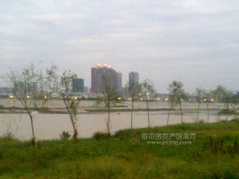 201111211081.jpg