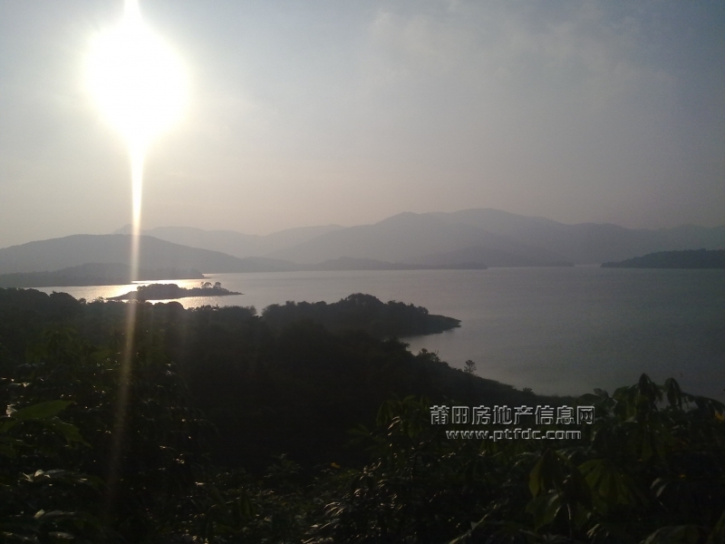 20111121981.jpg