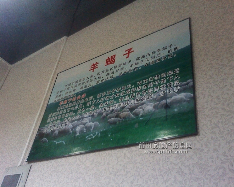 图像144.jpg