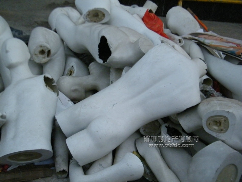 DSCF8655.JPG