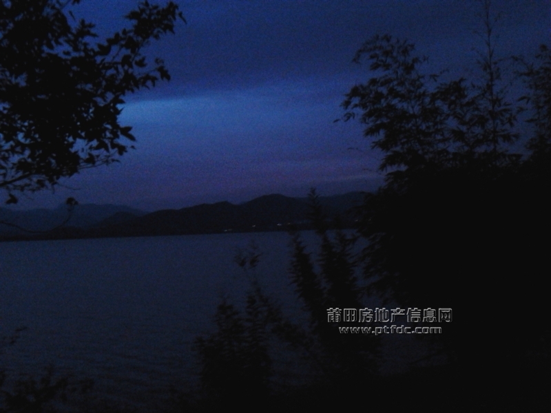 湖塘夜色