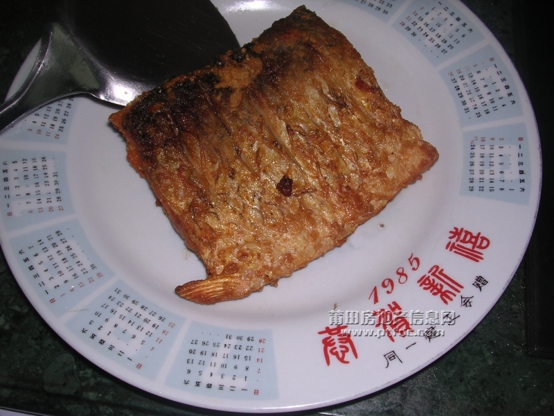 DSCN0875.JPG