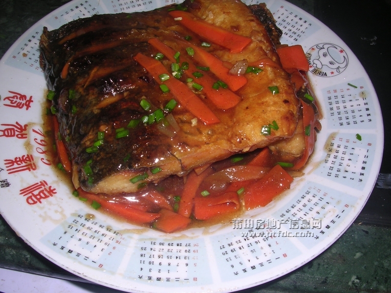 DSCN0884.JPG