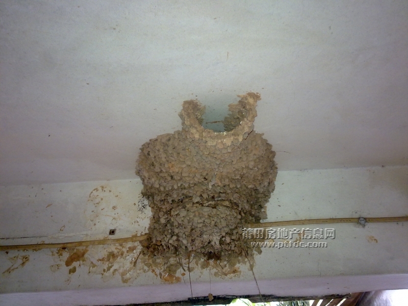 201112061337.jpg