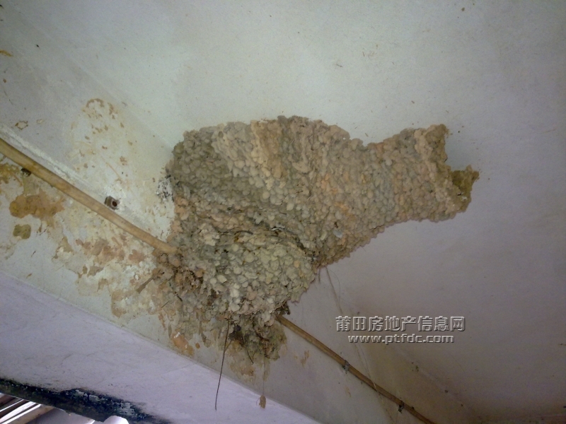201112061339.jpg