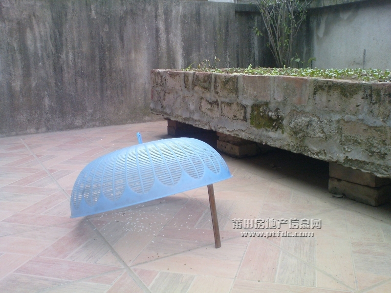 DSC00001.JPG