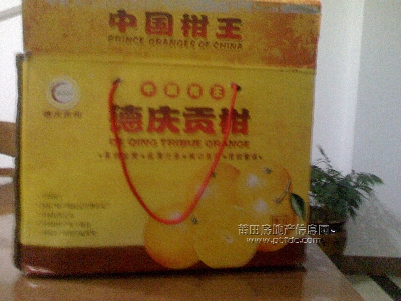 IMG1210192800.jpg