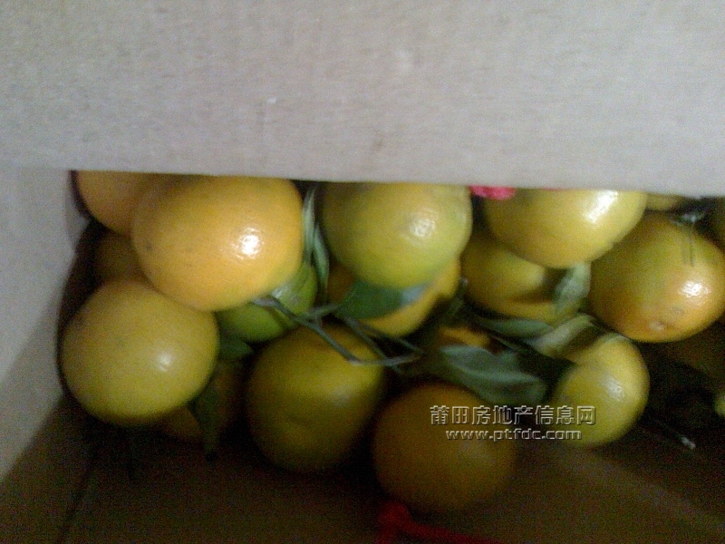 IMG1210192801.jpg