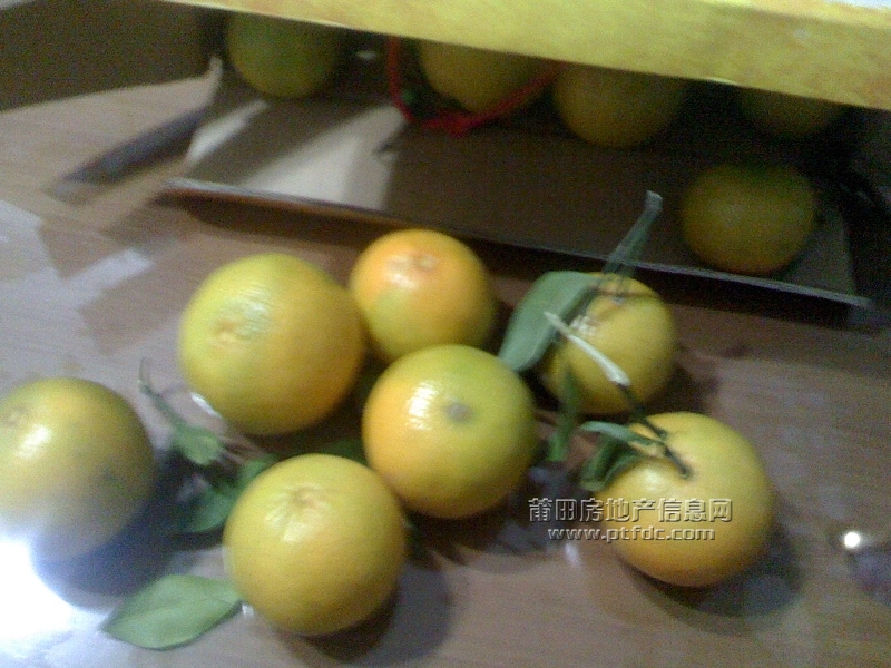 IMG1210192900.jpg