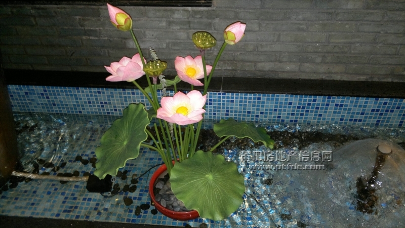201112011.jpg