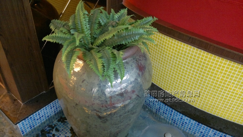201112015.jpg