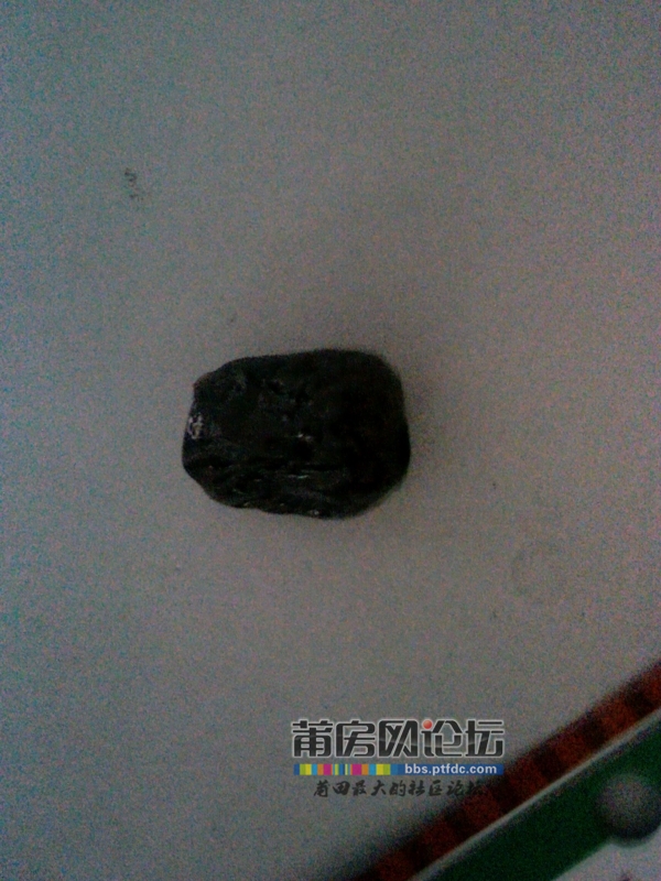 2011-12-14 09.08.57.jpg