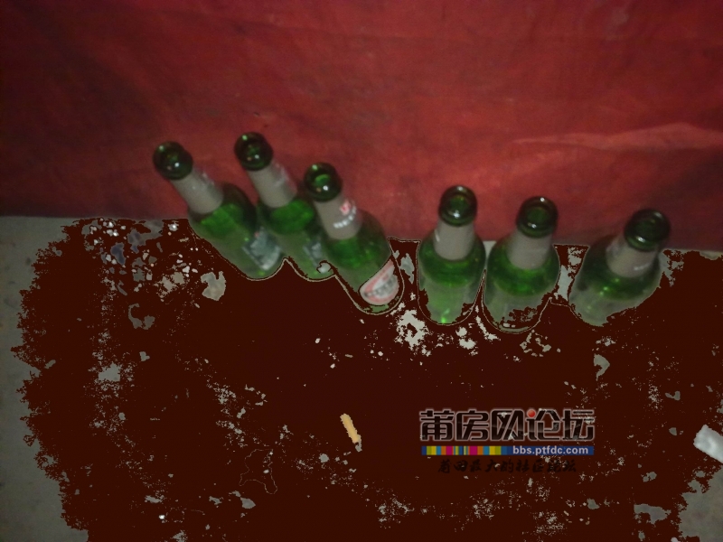 201112131369.jpg