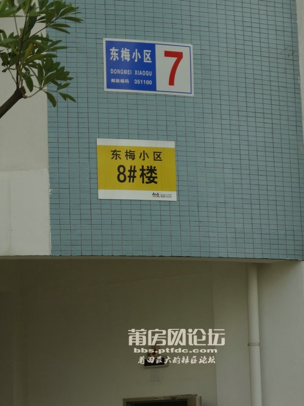 DSC01633.JPG