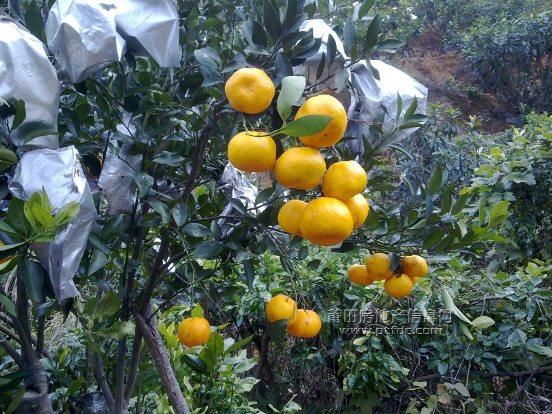 201112211423.jpg