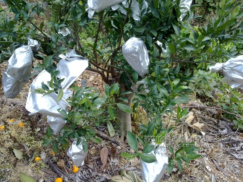 201112211412.jpg