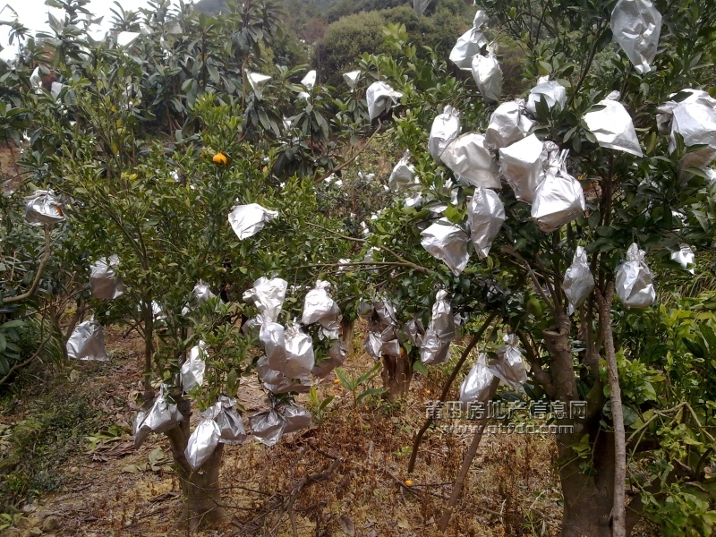 201112211415.jpg