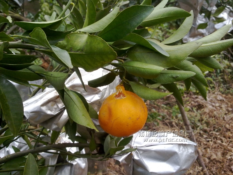 201112211416.jpg