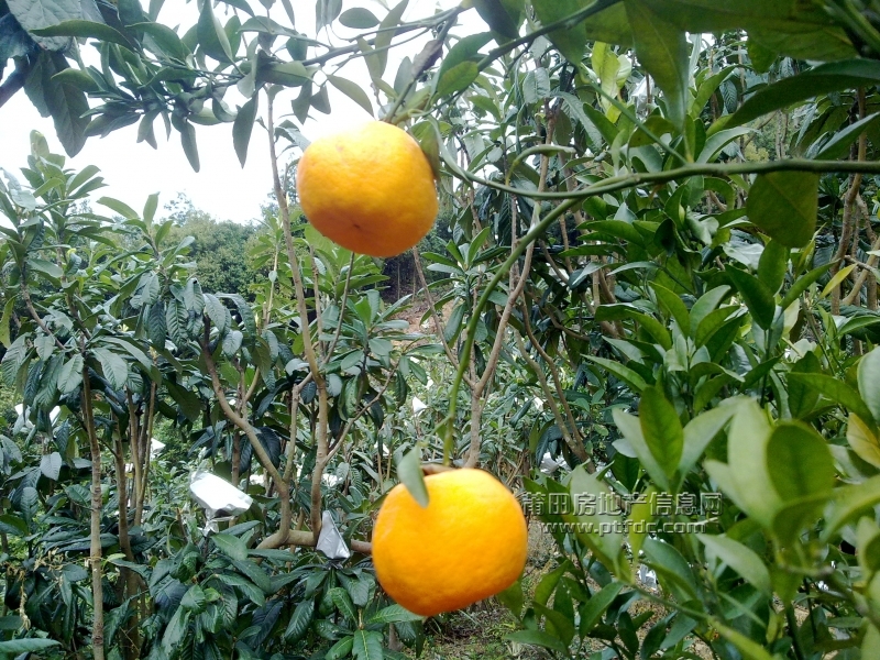 201112211418.jpg