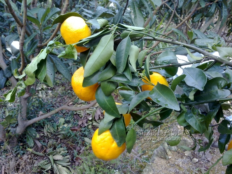 201112211422.jpg
